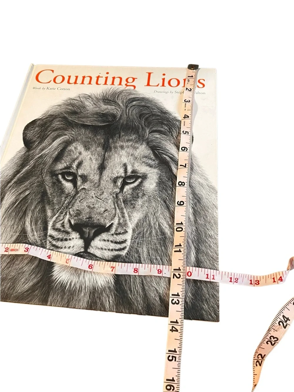 Counting Lions by Katie Cotton & Stephen Walton Hardcover Wildlife Picture Book